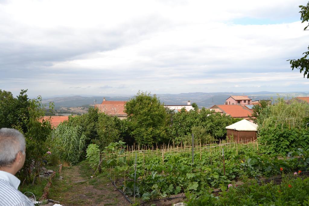 Su Cantaru Guesthouse Villanova Monteleone ภายนอก รูปภาพ